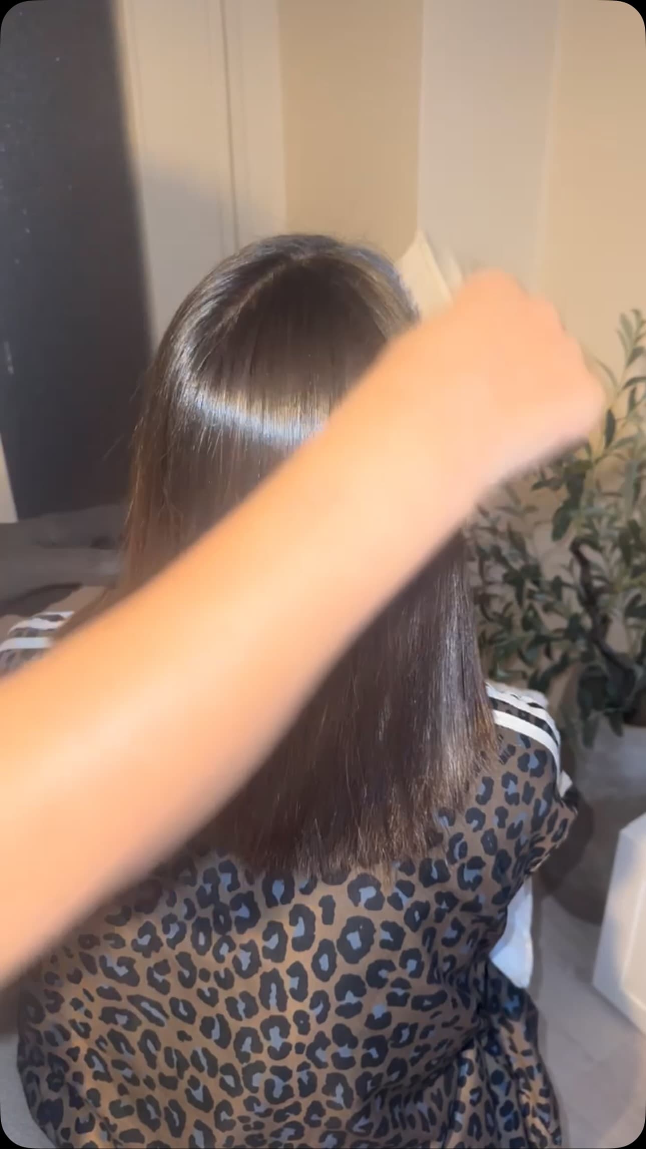 BB by Mina
