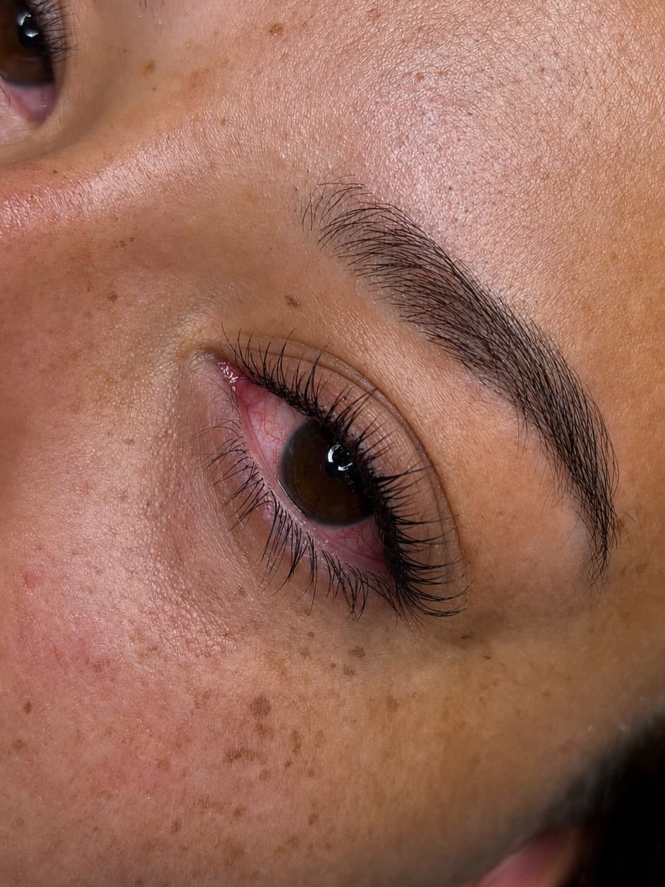 MLD Lashes